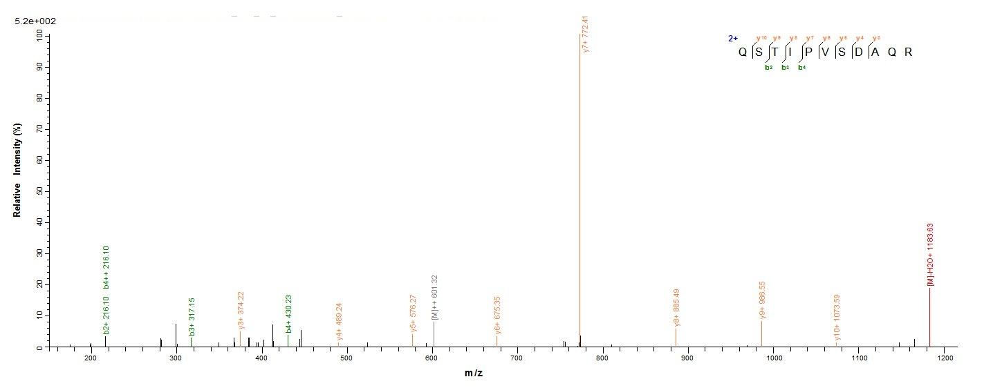 Plant Viscum album Beta-galactoside-specific lectin 1 protein