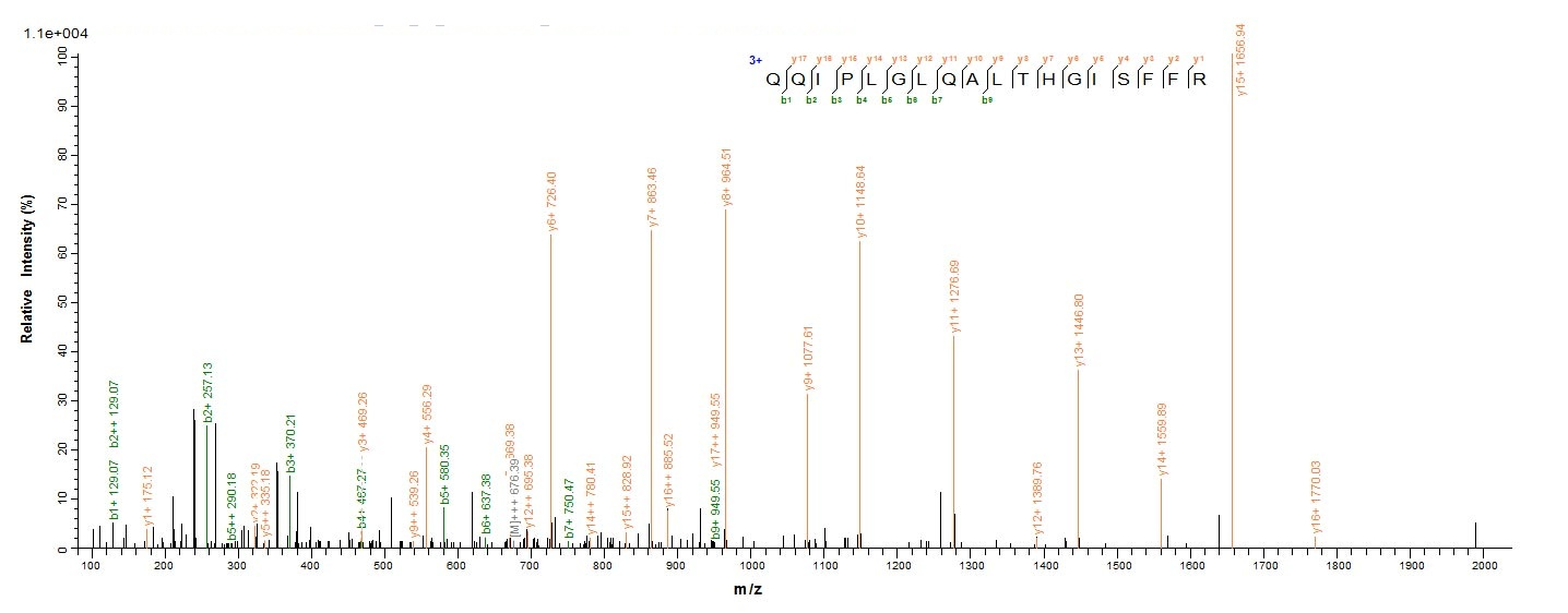 Plant Abrus precatorius Abrin-a protein