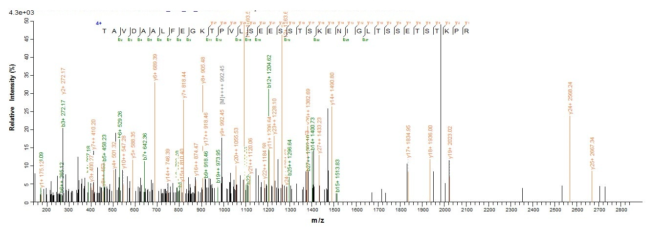Bacteria Moraxella bovis Fimbrial protein 1 protein