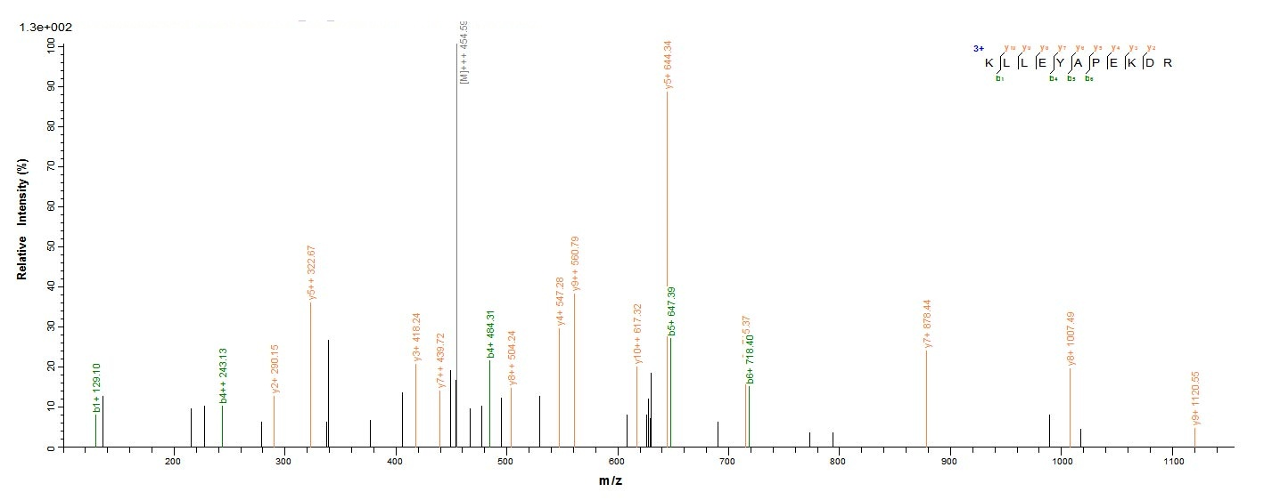 Bacteria ltxA protein