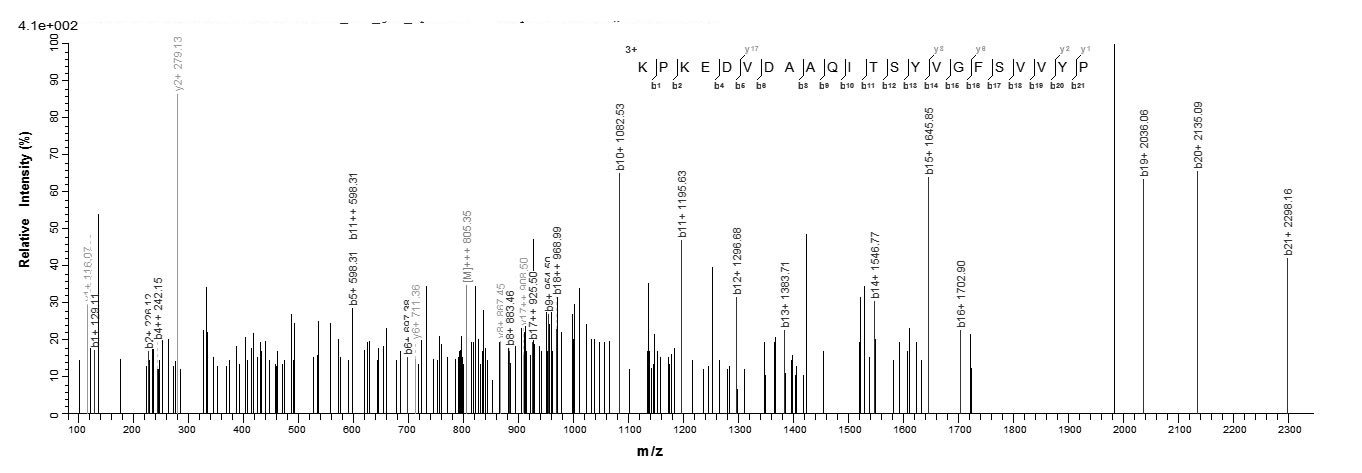 Bacteria fim3 protein