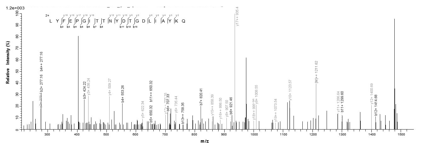 Bacteria fim3 protein