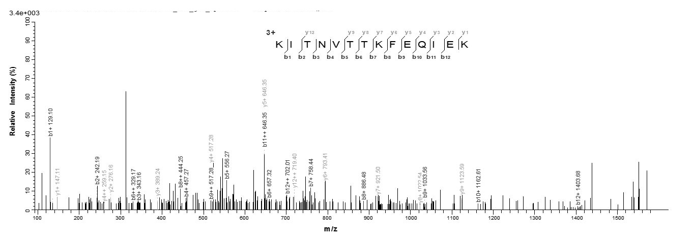 Virus A27L protein