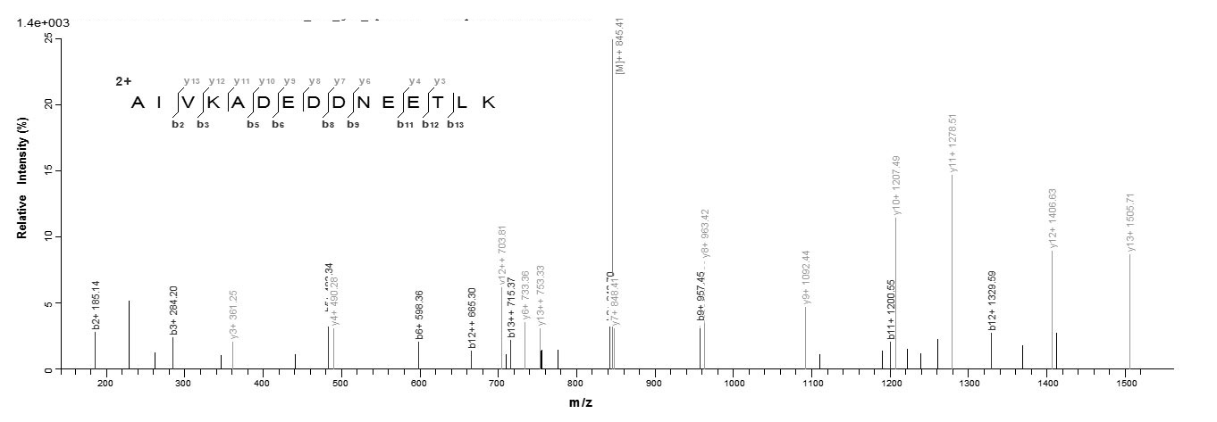 Virus A27L protein