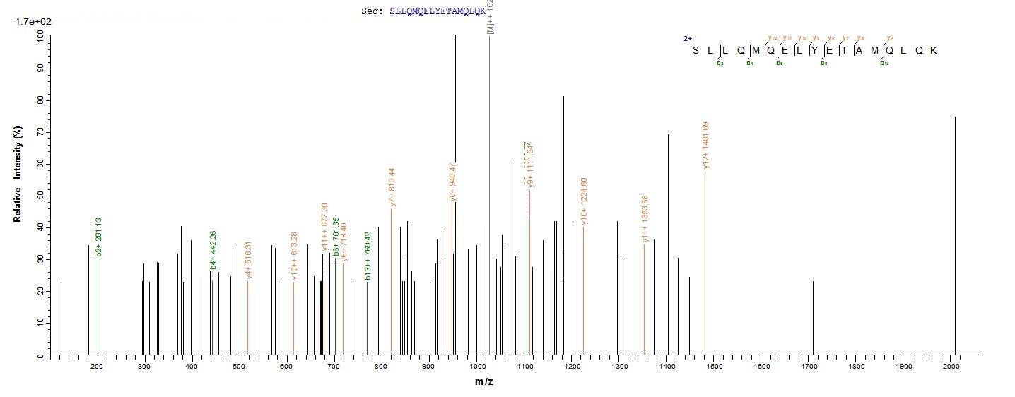 Virus ECM31 protein