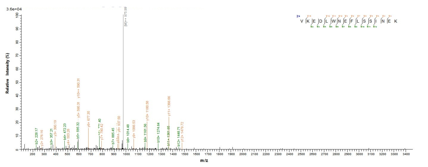 Virus ECM31 protein