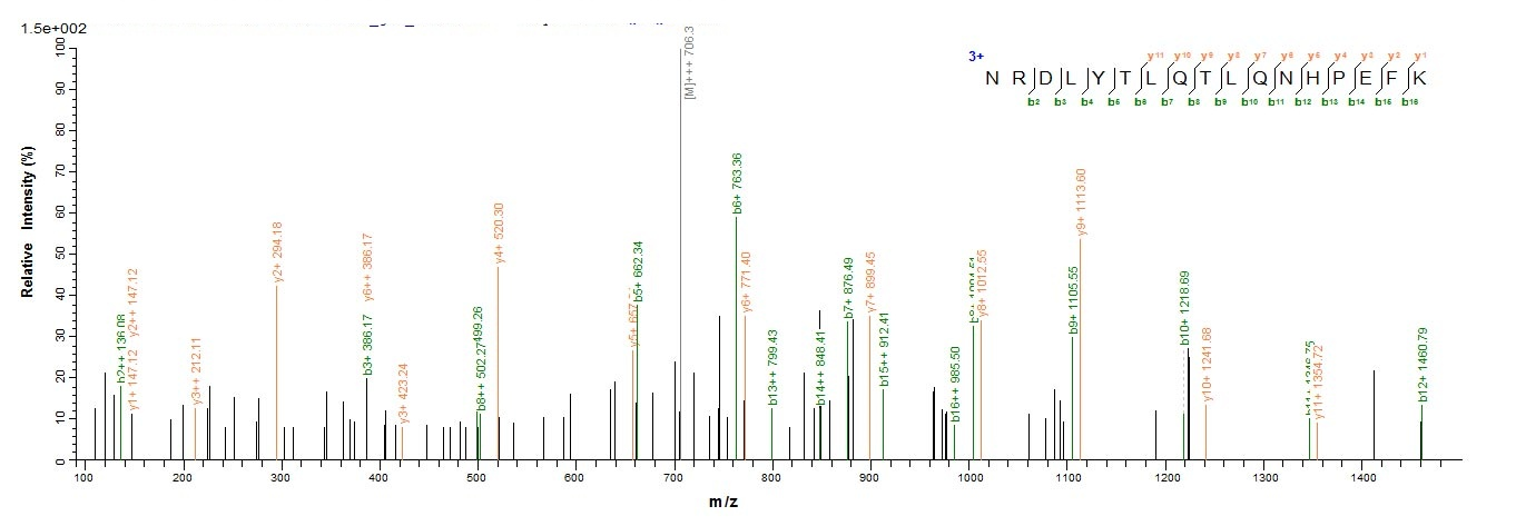 Insect Vespula vulgaris Phospholipase A1 protein