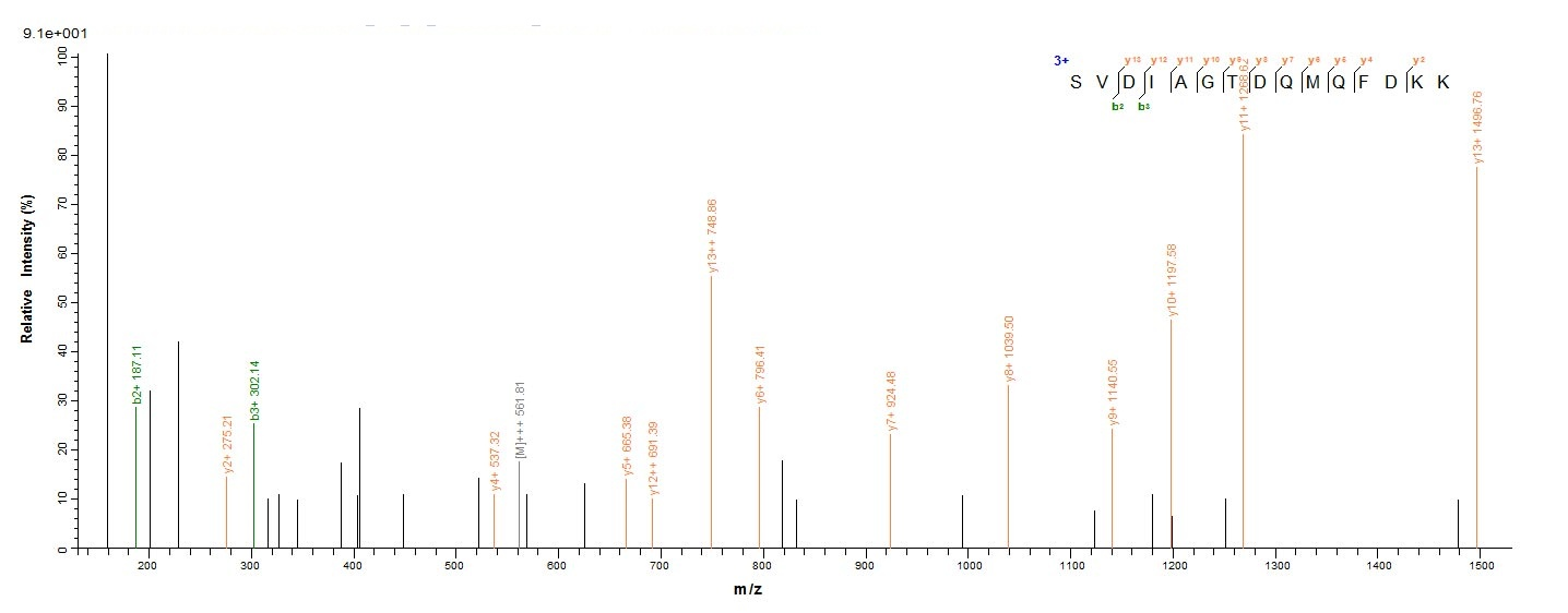 Bacteria BB3856 protein