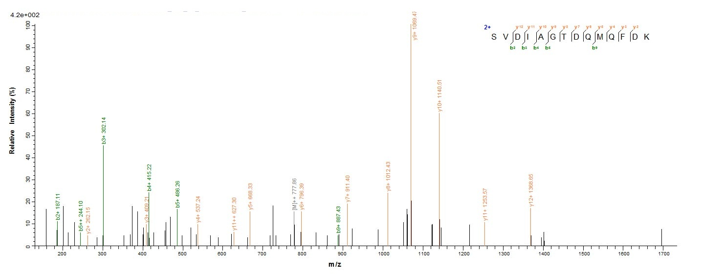 Bacteria BB3856 protein