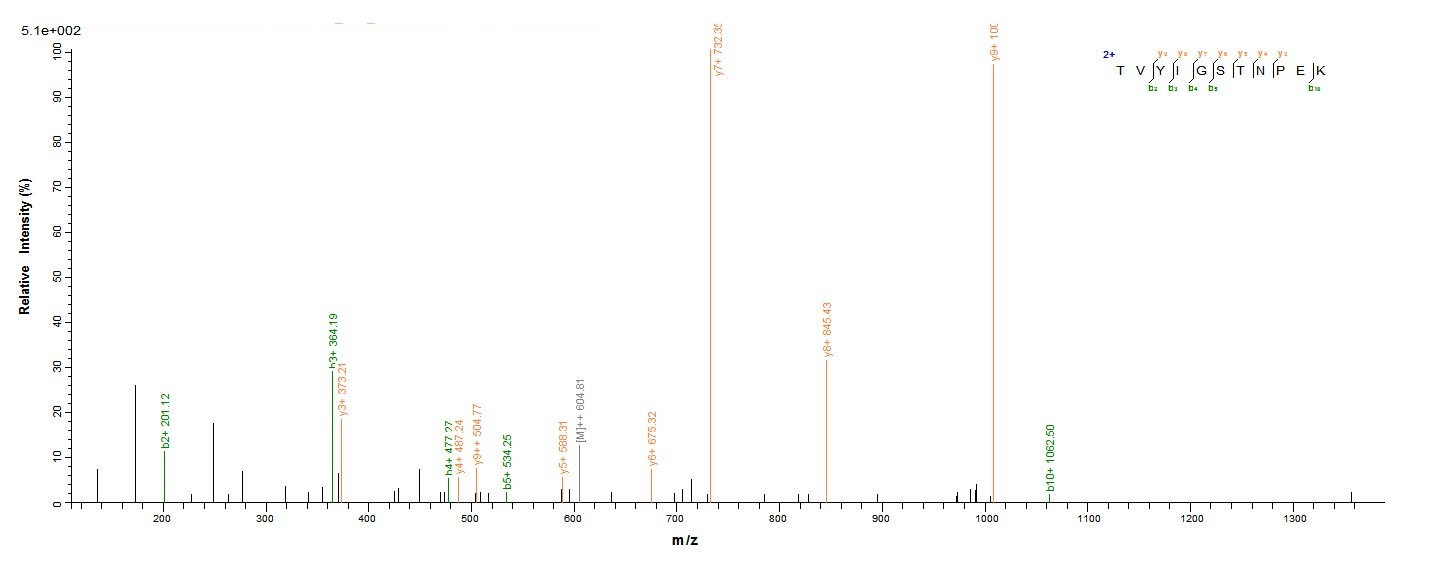 Bovine Odorant-binding protein protein