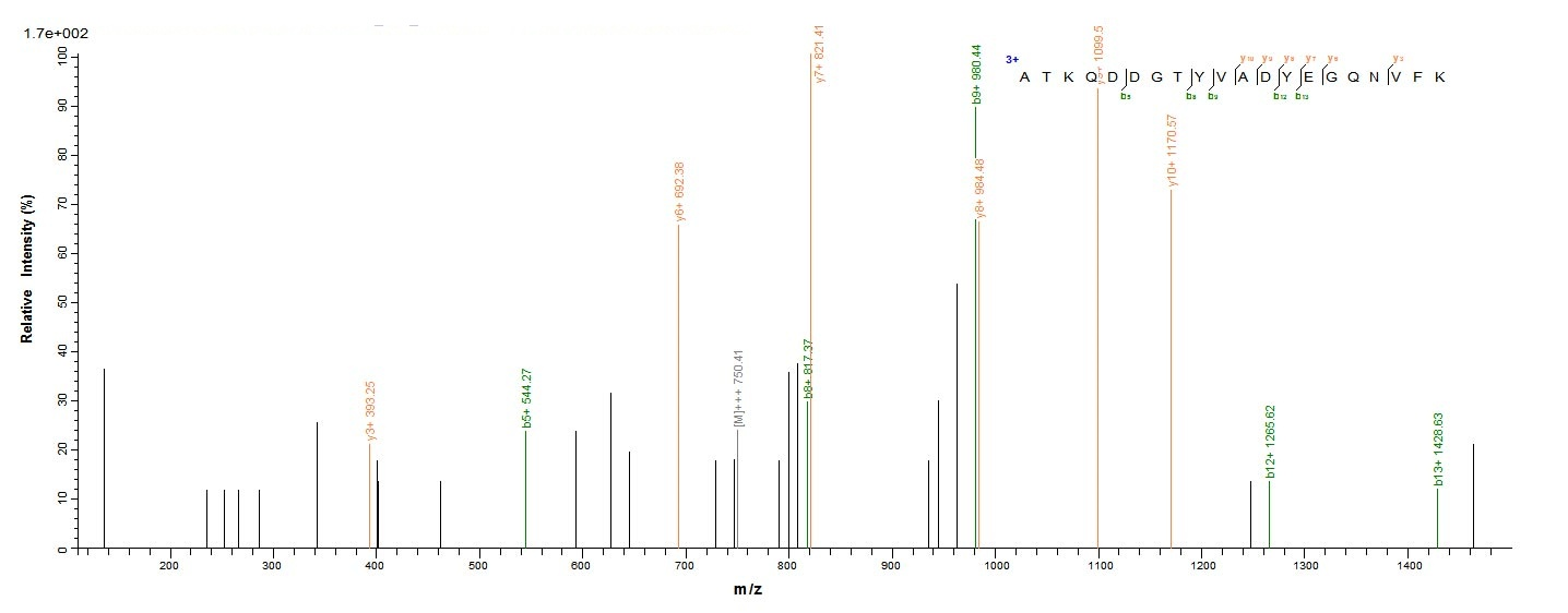 Bovine Odorant-binding protein protein
