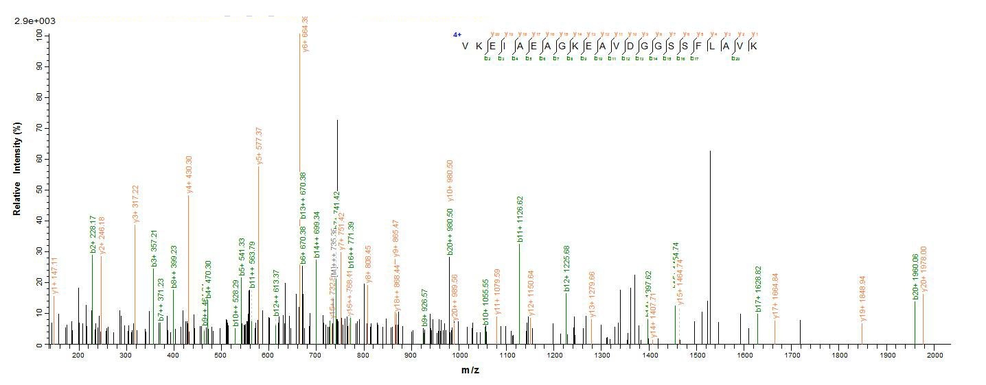 Plant UGT71C1 protein
