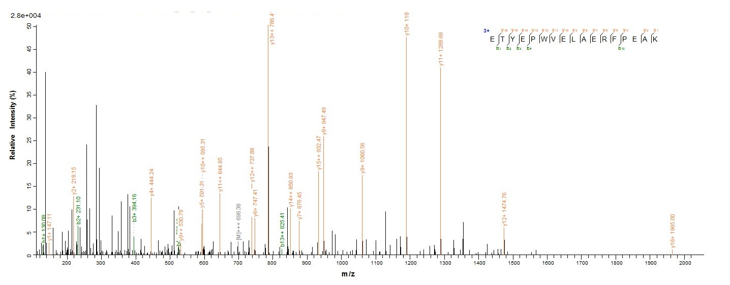 Plant UGT71C1 protein