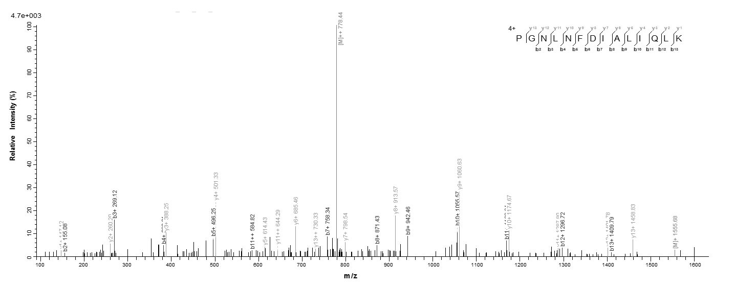 Animal Carcinoscorpius rotundicauda Limulus clotting factor C protein