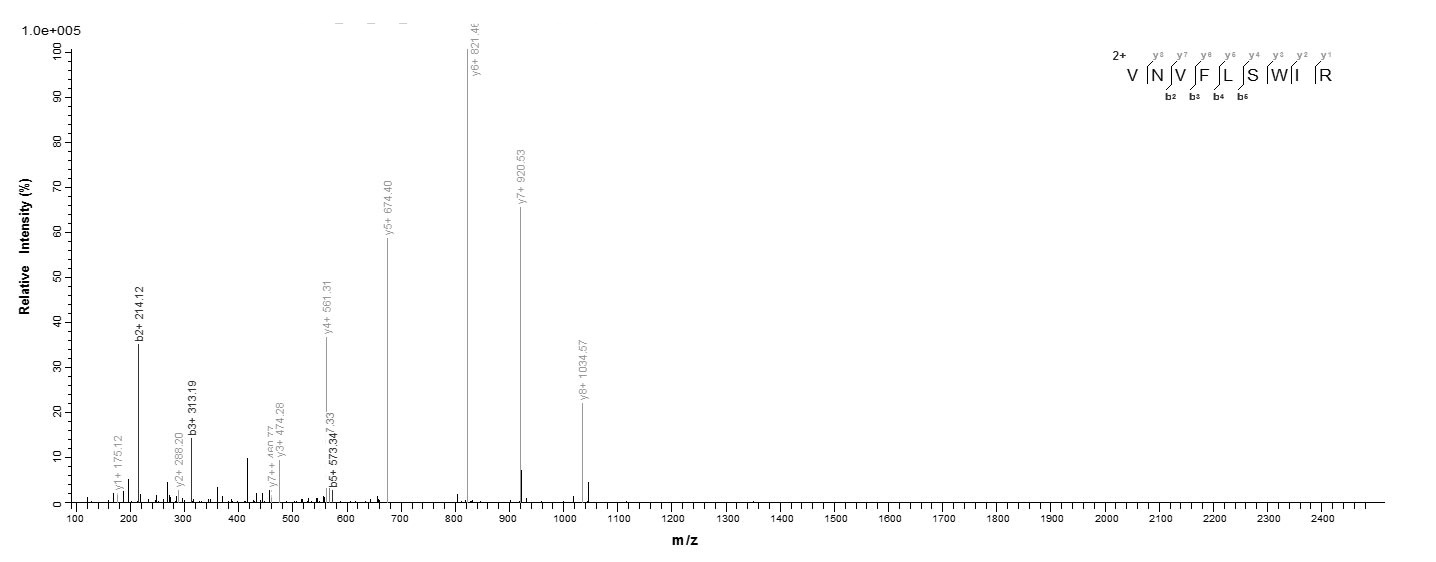 Animal Carcinoscorpius rotundicauda Limulus clotting factor C protein