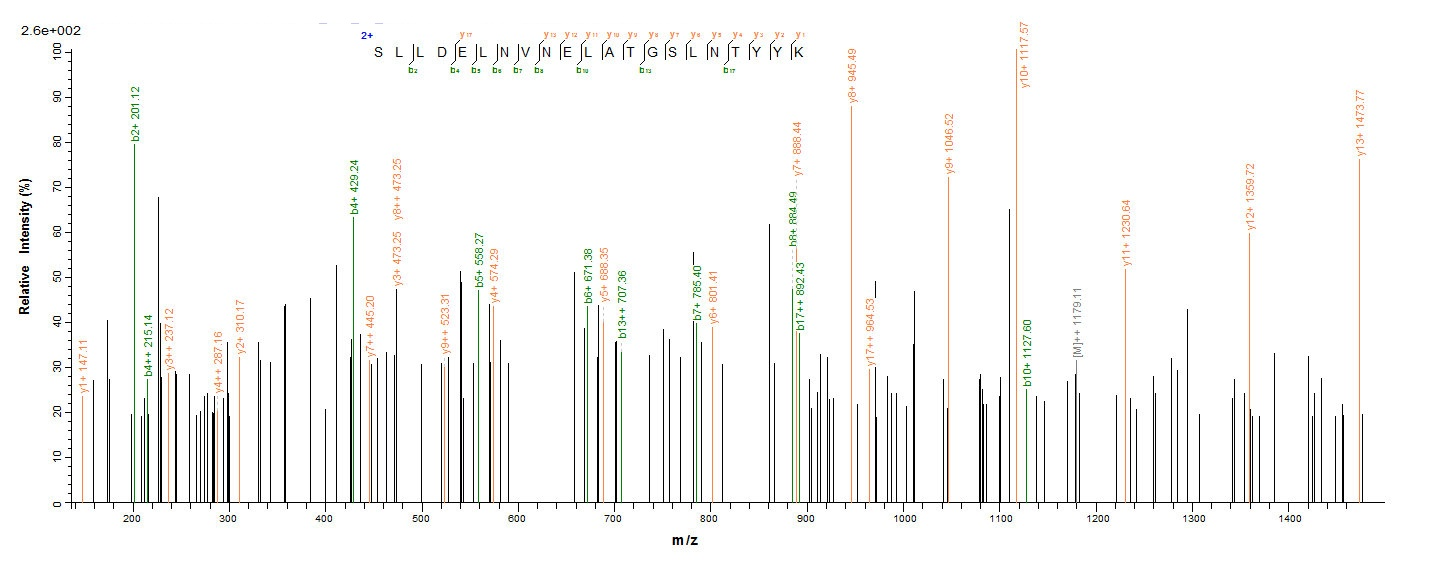 Bacteria scn protein