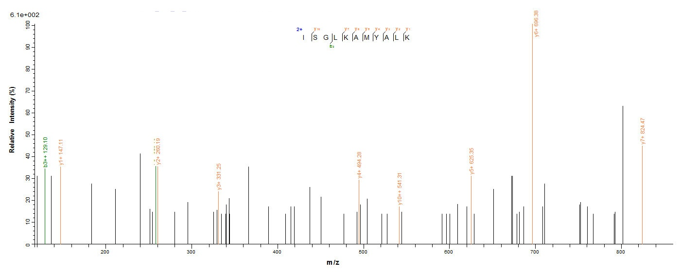 Bacteria scn protein