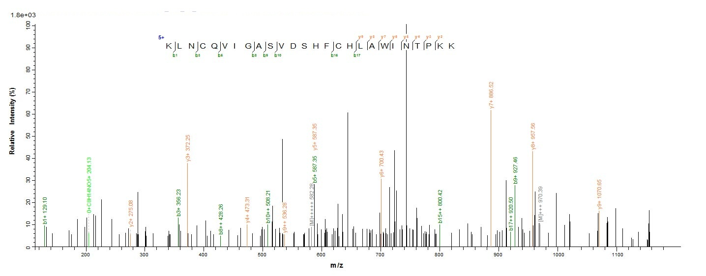 Hamster PRDX1 protein
