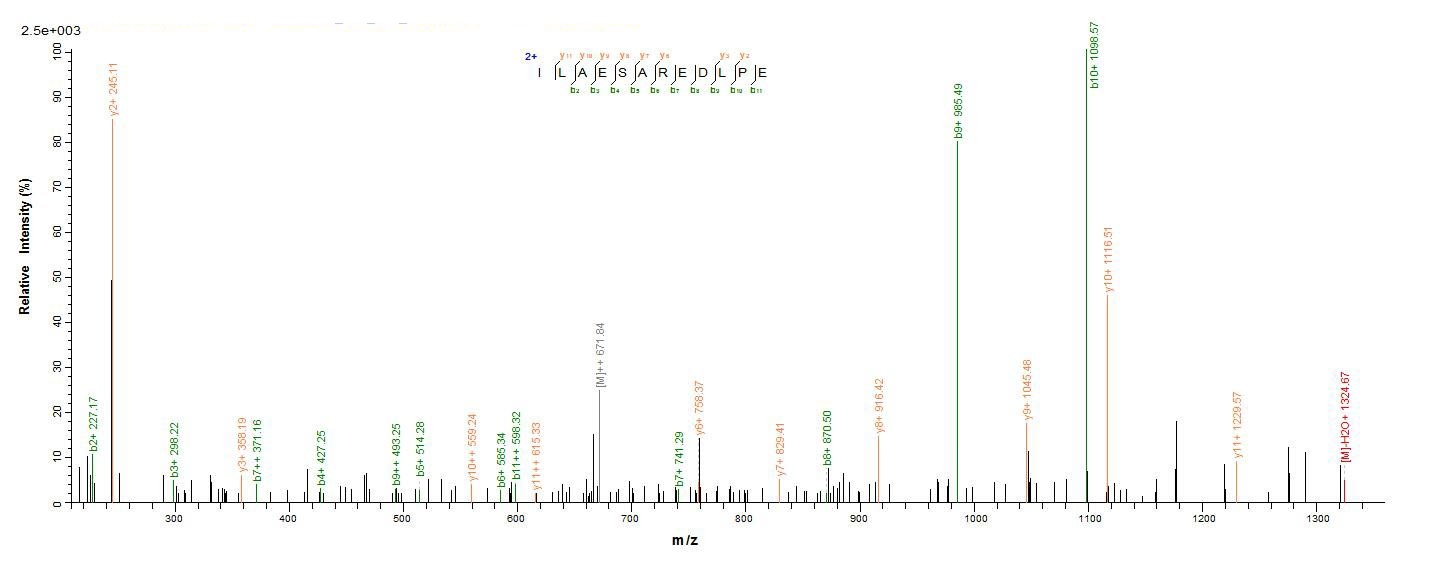Plant UGT89C1 protein
