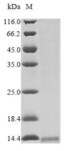 Animal Lqh6 protein