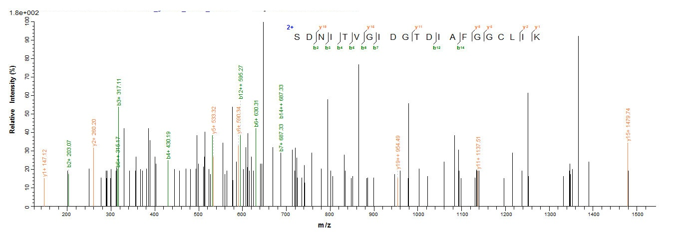 Bacteria NDM-1 protein