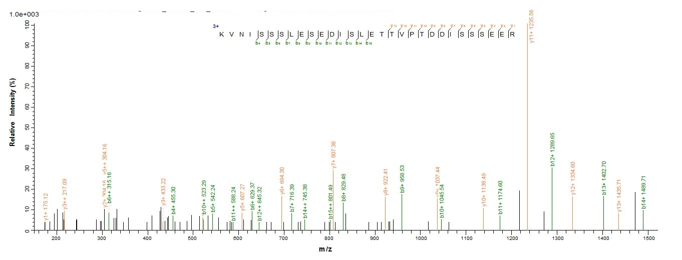 Human PIBF1 protein