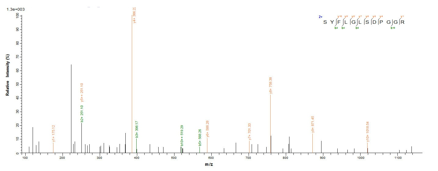Human CLEC4C protein