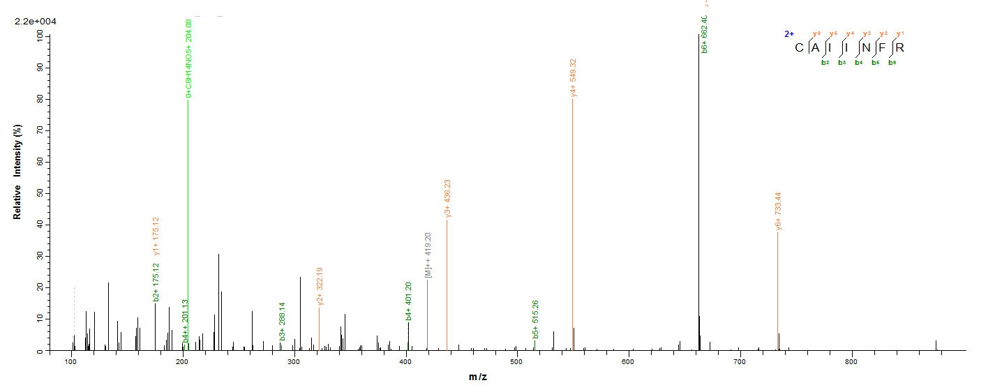Human CLEC4C protein