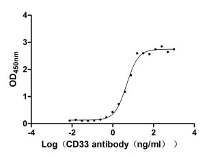 Human CD33 protein