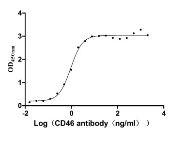 Human CD46 protein