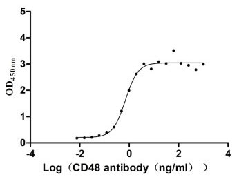 Human CD48 protein