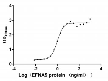 Human EFNA5 protein