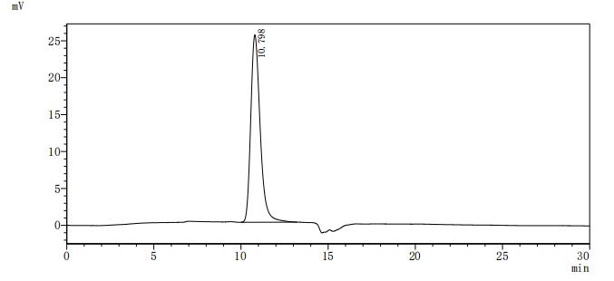 Human EGFR protein