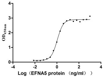 Human EPHA3 protein