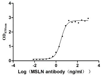Human Mesothelin protein