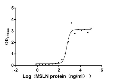 Human Mesothelin protein