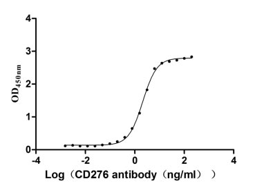 Human CD276 protein