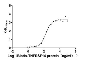 Human BTLA protein