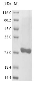 Algae GST protein