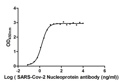 Human 2019-nCOV-N protein