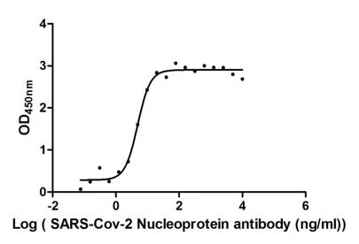 Human 2019-nCOV-N protein