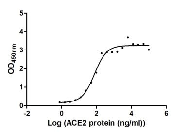 Human 2019-nCOV-S protein