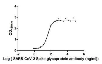 S Recombinant Monoclonal Antibody