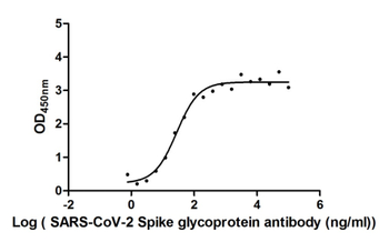 S Recombinant Monoclonal Antibody