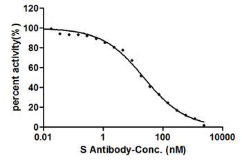 S Recombinant Monoclonal Antibody