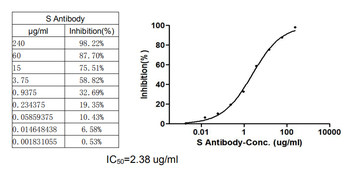 S Recombinant Monoclonal Antibody