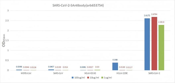 S Recombinant Monoclonal Antibody