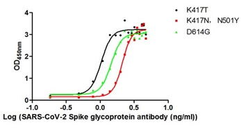 S Recombinant Monoclonal Antibody