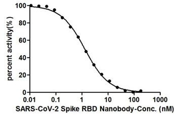 SARS-CoV-2 Spike RBD Nanobody Antibody