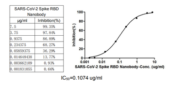 SARS-CoV-2 Spike RBD Nanobody Antibody